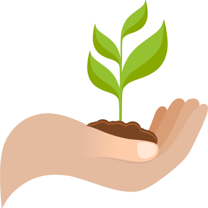 Hand Holding Seedling